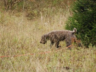 2009-10-03_ntb_9443