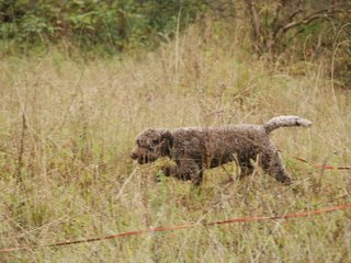 2009-10-03_ntb_9444