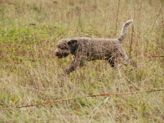 2009-10-03_ntb_9445