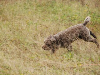 2009-10-03_ntb_9446