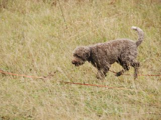 2009-10-03_ntb_9447