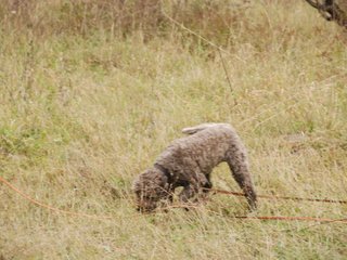 2009-10-03_ntb_9448