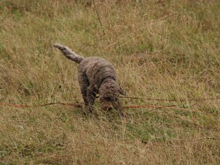 2009-10-03_ntb_9449