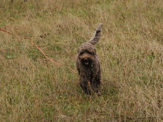2009-10-03_ntb_9450