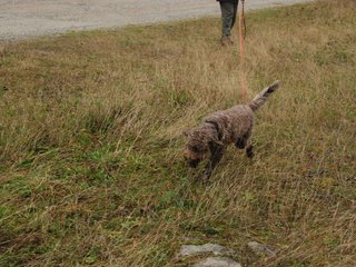 2009-10-03_ntb_9451