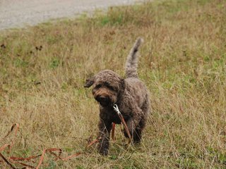 2009-10-03_ntb_9452
