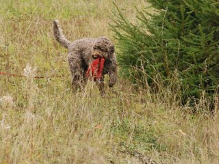 2009-10-03_ntb_9455