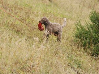 2009-10-03_ntb_9456