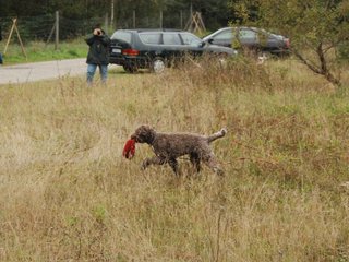 2009-10-03_ntb_9457
