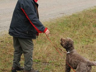 2009-10-03_ntb_9458