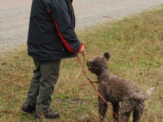 2009-10-03_ntb_9459