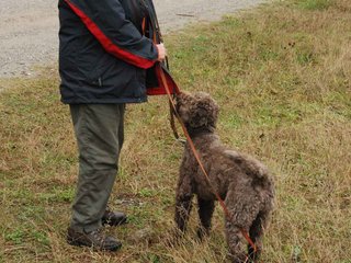 2009-10-03_ntb_9460
