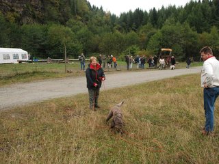 2009-10-03_ntb_9462