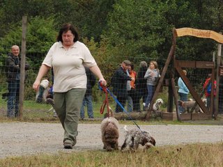 2009-10-03_ntb_9463