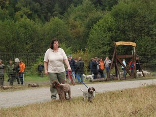 2009-10-03_ntb_9465