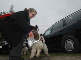 2009-10-03_ntb_9468