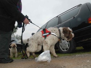 2009-10-03_ntb_9469