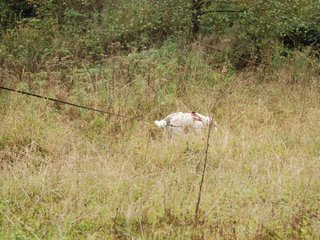 2009-10-03_ntb_9473