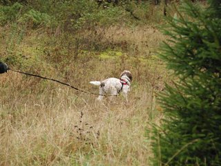 2009-10-03_ntb_9474