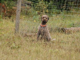 2009-10-03_ntb_9475