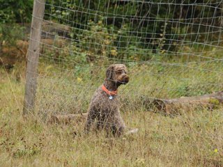 2009-10-03_ntb_9476