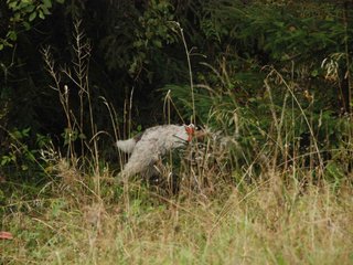 2009-10-03_ntb_9478