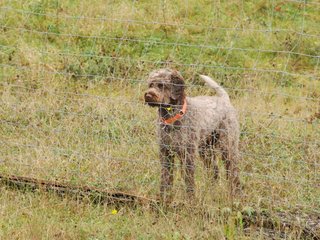 2009-10-03_ntb_9480