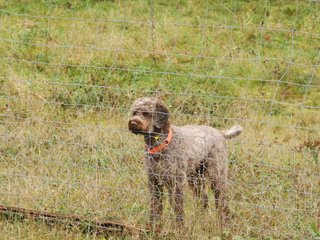 2009-10-03_ntb_9481