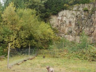 2009-10-03_ntb_9482