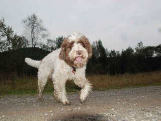 2009-10-03_ntb_9484