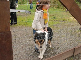 2009-10-03_ntb_9486