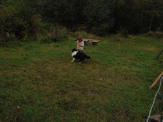 2009-10-03_ntb_9488
