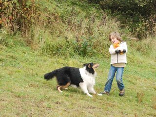 2009-10-03_ntb_9494