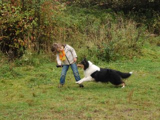 2009-10-03_ntb_9498