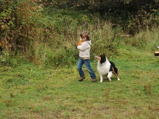 2009-10-03_ntb_9499