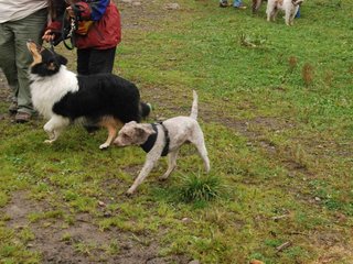 2009-10-03_ntb_9501