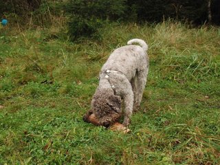 2009-10-03_ntb_9503