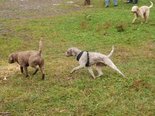 2009-10-03_ntb_9504
