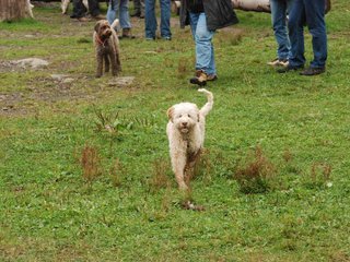 2009-10-03_ntb_9506