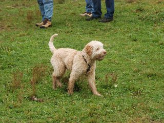 2009-10-03_ntb_9507