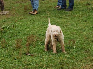 2009-10-03_ntb_9508