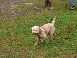 2009-10-03_ntb_9509