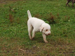 2009-10-03_ntb_9510