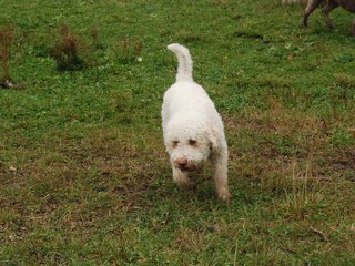 2009-10-03_ntb_9511