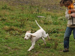 2009-10-03_ntb_9517