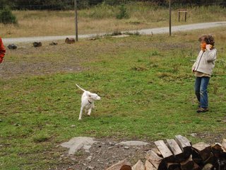 2009-10-03_ntb_9518