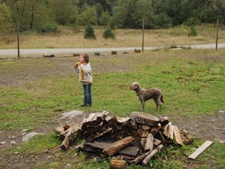 2009-10-03_ntb_9519
