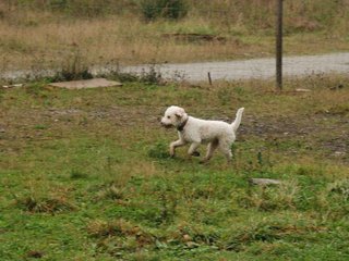 2009-10-03_ntb_9520