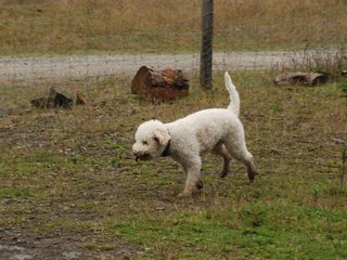 2009-10-03_ntb_9521