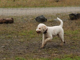 2009-10-03_ntb_9522